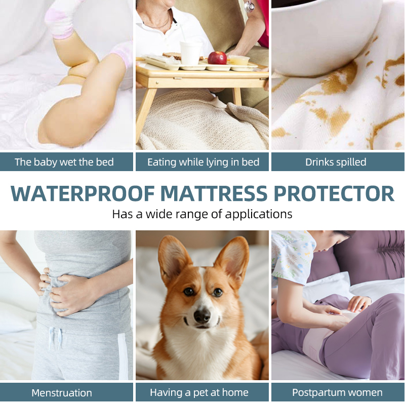 クイーンサイズ防水マットレスプロテクター、ペット、高齢者、失 - Waterproof Mattress Protector Breathable のレビューと価格